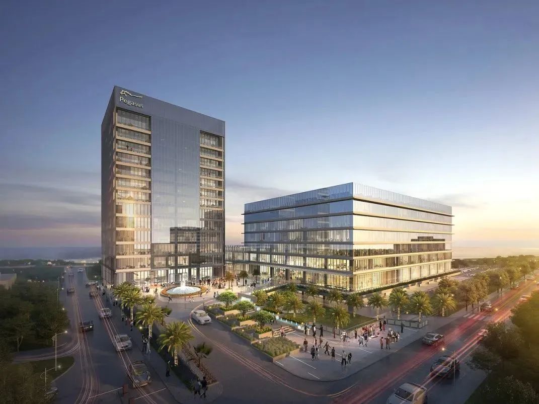 荣祝：圭亚那总统出席 飞马酒店开业典礼(图2)